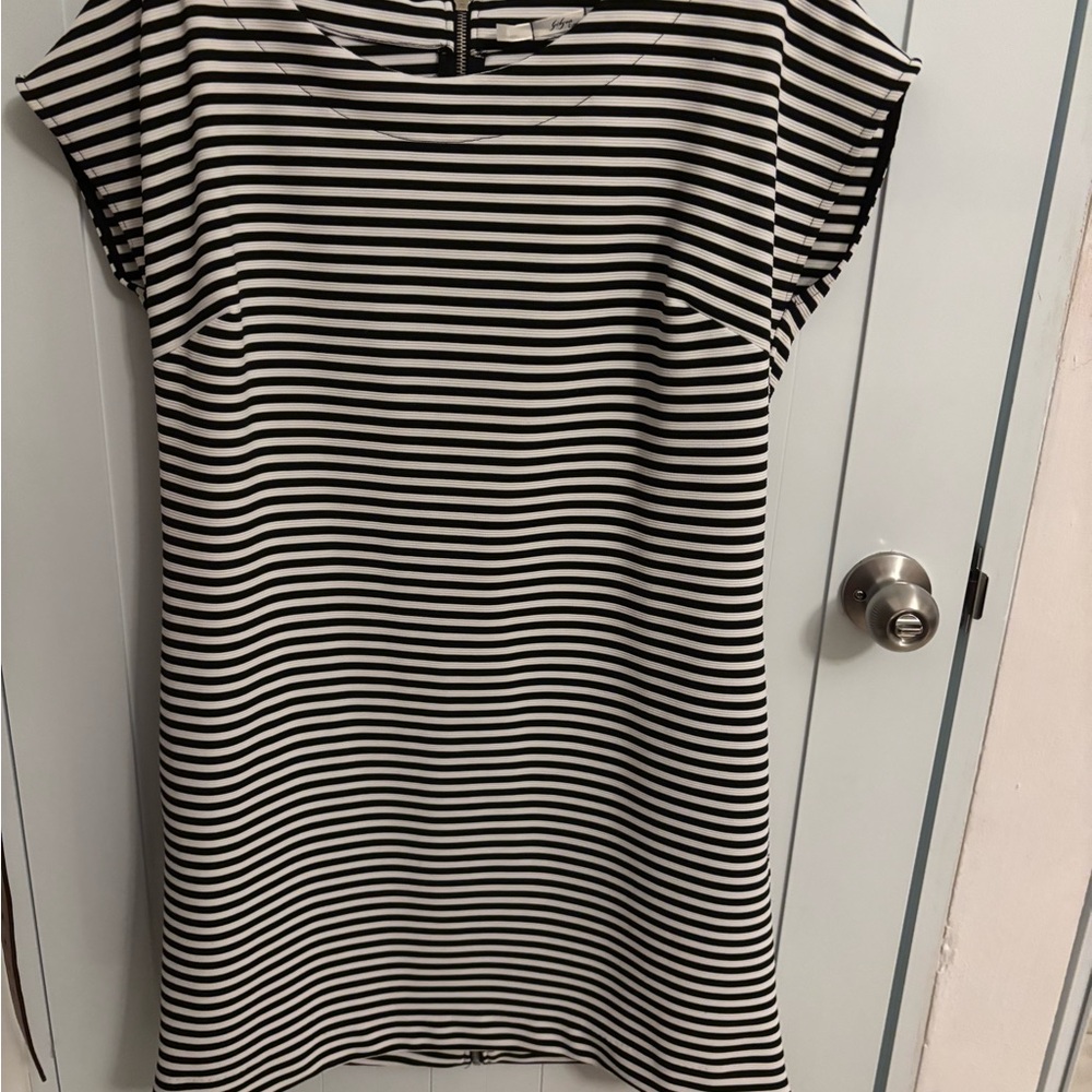 Looks Like new ,Striped Black and White Dress